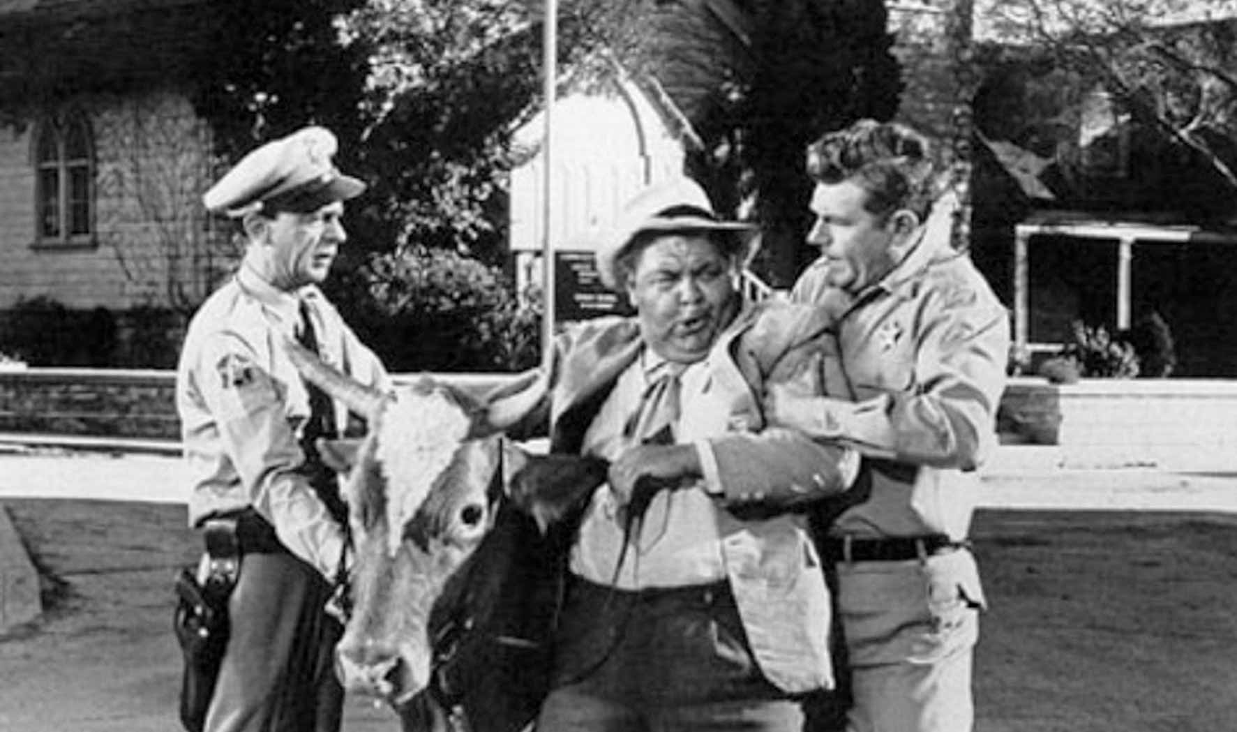 Image result for andy griffith moonshine